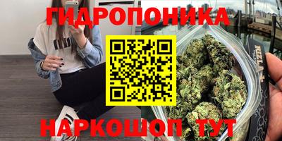 spice Балаково