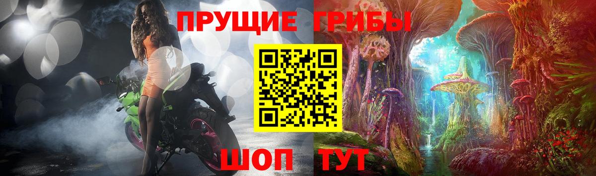 Донецк  Галлюциногенные грибы Psilocybine cubensis  Вход с VPN 